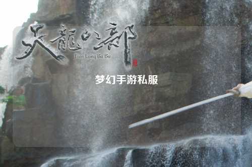 梦幻手游私服